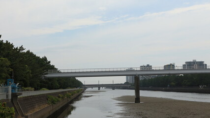 Fototapeta na wymiar 川に掛かる橋