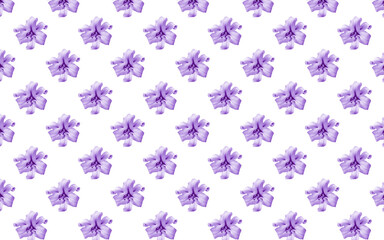 Beautiful flowers violet lilies. Seamless pattern of Lily flower bloom. Floral natural background.