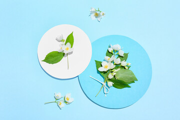 Composition with beautiful jasmine flowers on color background