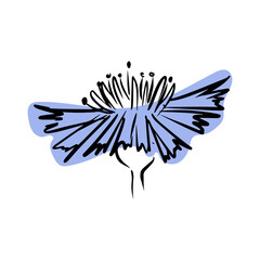 Cornflower with abstract shapes hand drawn illustration. Line art. Isolated on white background.