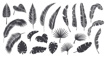 Silhouettes tropical leaves. Monochrome glyph forest palm monstera fern hawaiian leaves. Tropical elements vector illustration. © Victoria Sergeeva