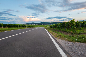 Fototapeta premium road in the countryside