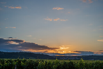 sunset over the vinyard