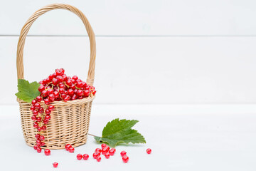A small wicker basket with fresh red currants on a white wooden isolated background. A beautiful, healthy ripe summer berry.