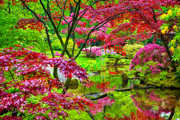 Travel Through the Netherlands. Amazing Japanese Garden with Asian Zen Sculptures and Red Maple Trees in Park Clingendael in the Hague (Den Haag) in the Netherlands Straight After the Rain.