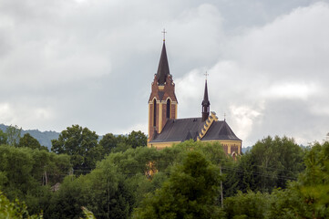 Zabytkowa katedra wśród drzew panorama z oddali	
