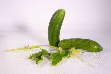 fresh cucumber drink in summer