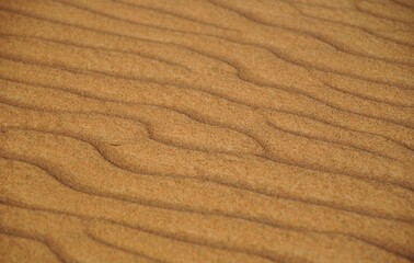 Sand background