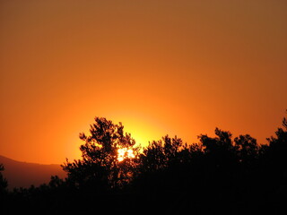 Magical sunset through trees.
