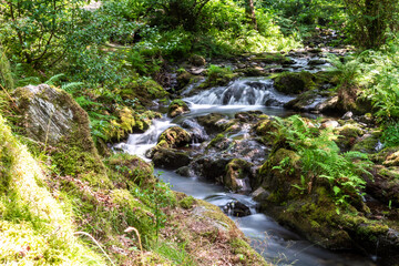 Dulgoch Falls in Wales