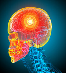 3d render medical illustration of the human skull © maya2008