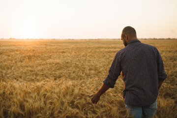 Young man standing in wheat field on sunset