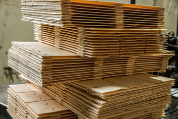 Woodworking industry. Natural veneer in bundles for further use in furniture manufacturing.