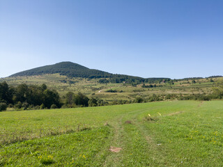 Fototapeta na wymiar Hill grcka gradina on Manjaca mountain overgrown with forest near Banja Luka, Bosnia and Herzegovina