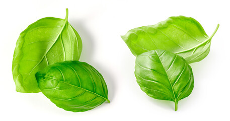 Set of basil leaves isolated. Basil leaf on white background. Fresh basil. Top view flat lay. - obrazy, fototapety, plakaty