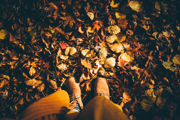 Fototapeta na wymiar Autumn leaves on the ground, Top view of a woman's feet in boots standing on autumn leaves.