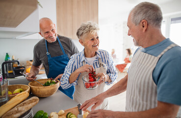 Group of senior friends having party indoors, cooking and talking.