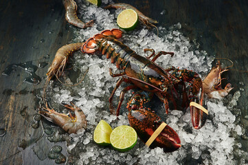 Fresh raw lobster on ice on dark textured background. Space for text. High quality photo