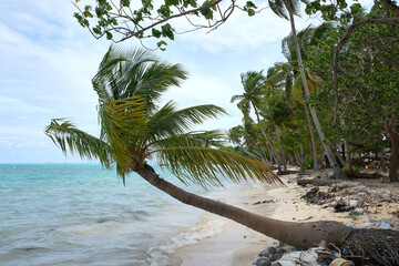 tropical beach polluted by plastic. no more plastic, save the planet, a sea without plastic.