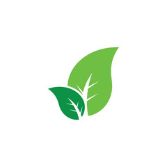 leave icon design illustration