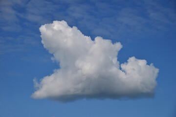 Cumulus clouds on clear sunny day as background