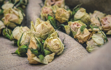 Vintage dry roses and canvas, pastel background
