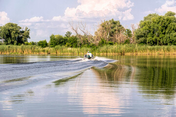 River pleasure boat and swampy riverbanks in Louisiana