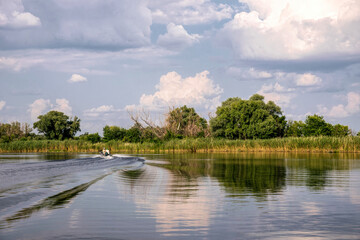 River pleasure boat and swampy riverbanks in Louisiana