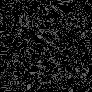 Black and white natural curves vector pattern. Cartographic geometric lines texture. Topographic curves.
