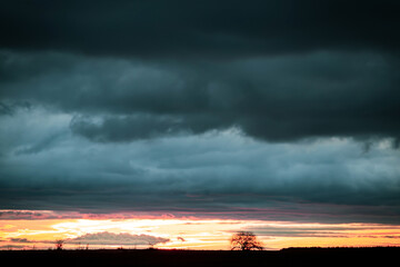 Enchanting sunrise with dramatic stormy cloudy sky before a thunderstorm storm, silhouette of a tree in a field at dawn on the horizon against the background of the rising sun in the early morning