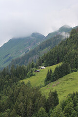 Fototapeta na wymiar Green landscape in the Swiss Alps on a early summer day. Rural scene in Brienz.