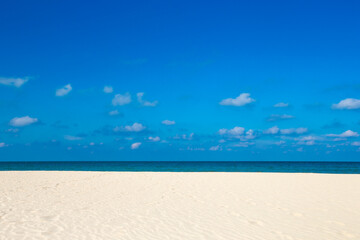 tropical beach in Sri Lanka . Summer holiday and vacation concept for tourism.
