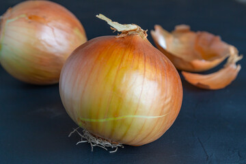 Head onion vegetables isolated on dark background.