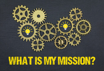 what is my mission?
