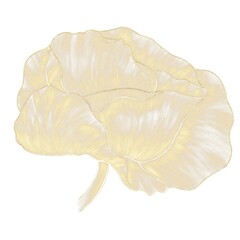 Gold contour hatched pattern of a poppy bud on a white background