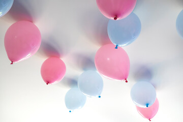 gender reveal party blue and pink balloons in living room on white wall definition of a boy or girl, gathering party party decoration - obrazy, fototapety, plakaty
