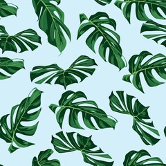 Tropical green monstera palm leaves background. Seamless pattern. Graphic illustration. Exotic jungle plants. Summer beach floral design. Paradise nature on blue background.