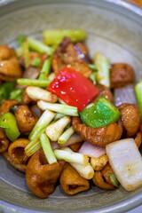 A delicious Chinese dish, fried pork intestines
