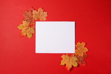 Naklejka na ściany i meble autumn card mockup for design presentation on red background with falling leaves