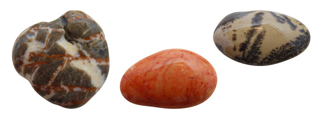 Set of different wet sea stones isolated on white background. Macro closeup.