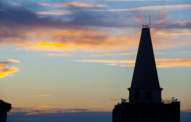 Galisteo, Storks perched over La Picota tower at dusk. Extremadura, Spain