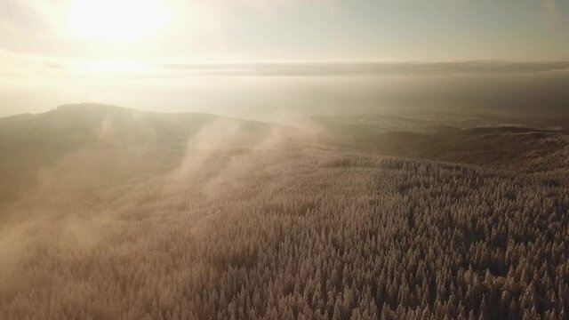 Dlog Drone view of the Feldberg Taunus Schmitten area during a cold winter day. Trees covered in snow and ice. Forrest in snow. Filmed during sunrise. Snow is wonderfully coloured in orange and red.