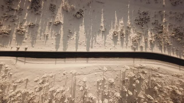 Dlog Drone view of the Feldberg Taunus Schmitten area during a cold winter day. Trees covered in snow and ice. Forrest in snow. Filmed during sunrise. Snow is wonderfully coloured in orange and red.