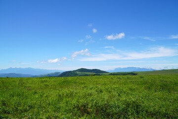 夏の美ヶ原高原