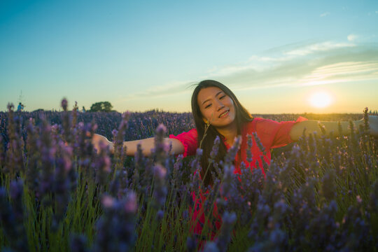 Young Happy And Beautiful Asian Chinese Woman In Summer Dress Enjoying Free And Playful At Purple Lavender Flowers Field On Sunset In Romantic Beauty And Freedom Concept