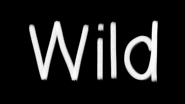Hand drawn animated wiggle word Wild. Charcoal texture text. Two color - black and white. Frame by frame 2d typographic doodle animation. High resolution 4K.