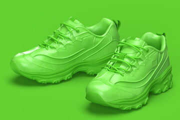 Pair of green casual sporting shoes. 3D illustration