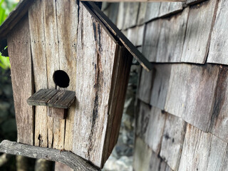 Nature garden or park decorated with natural wood