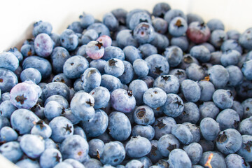Fresh Blueberry Background.Ripe blueberries with copy space for text.Concept for healthy eating