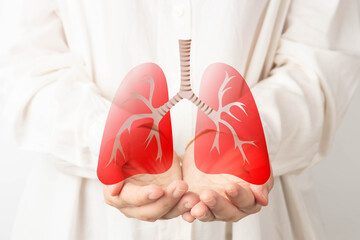 Human hands holding lung organ symbol. Awareness of lung cancer, pneumonia, asthma, COPD, pulmonary hypertension, world no tobacco day and eco air pollution. Respiratory and chest concept. - obrazy, fototapety, plakaty